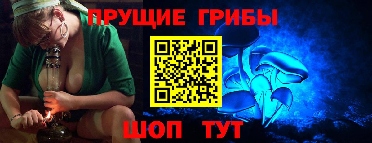 Псилоцибиновые грибы MAGIC MUSHROOMS  Вход с VPN  Владимир 