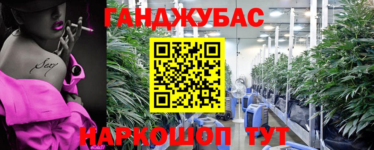 Владимир  Канабис LSD WEED  Каннабис сатива  Вход с VPN 